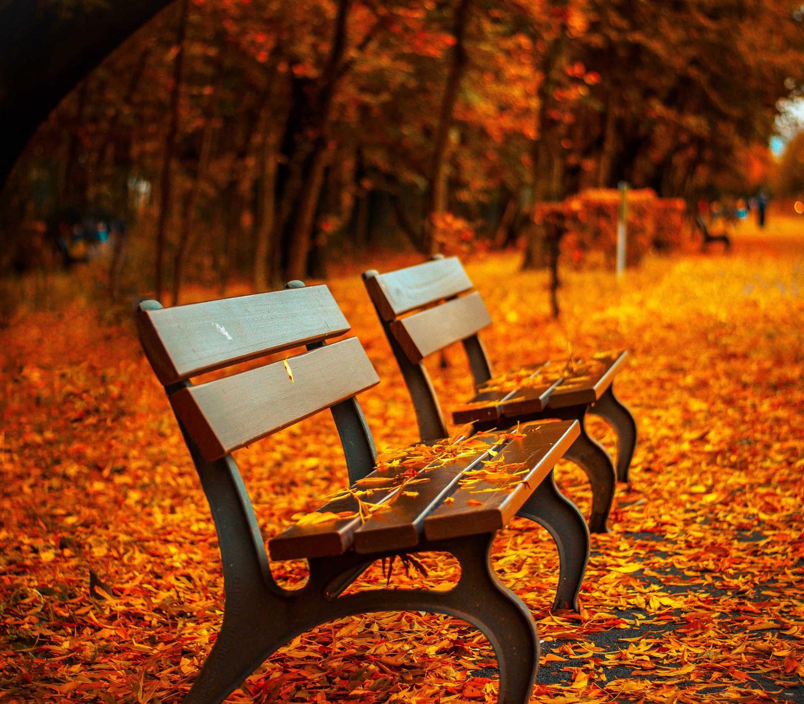Painterly fine art photography by Zach K. Johnson, Columbia, MO